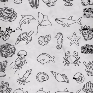 Promo Flash Été 2025 chez Ma.dame Tattoo