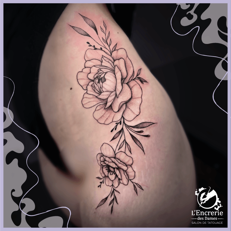 Pivoines ornementales